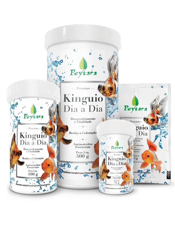 POYTARA KINGUIO DIA-A-DIA