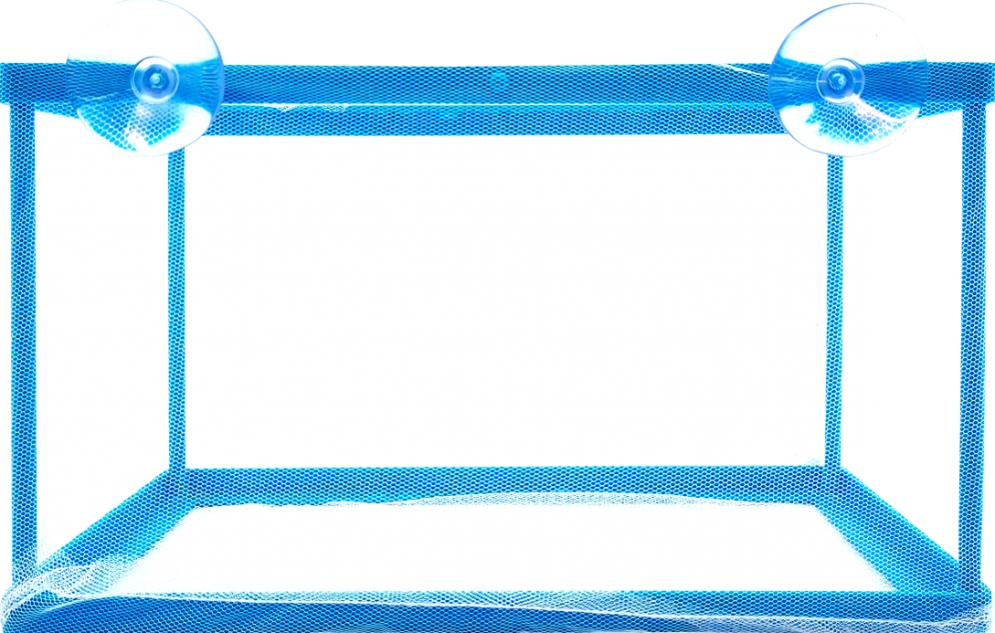 WF- CRIADEIRA - WFISH