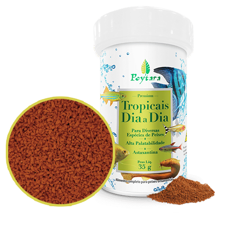 POYTARA TROPICAIS DIA-A-DIA