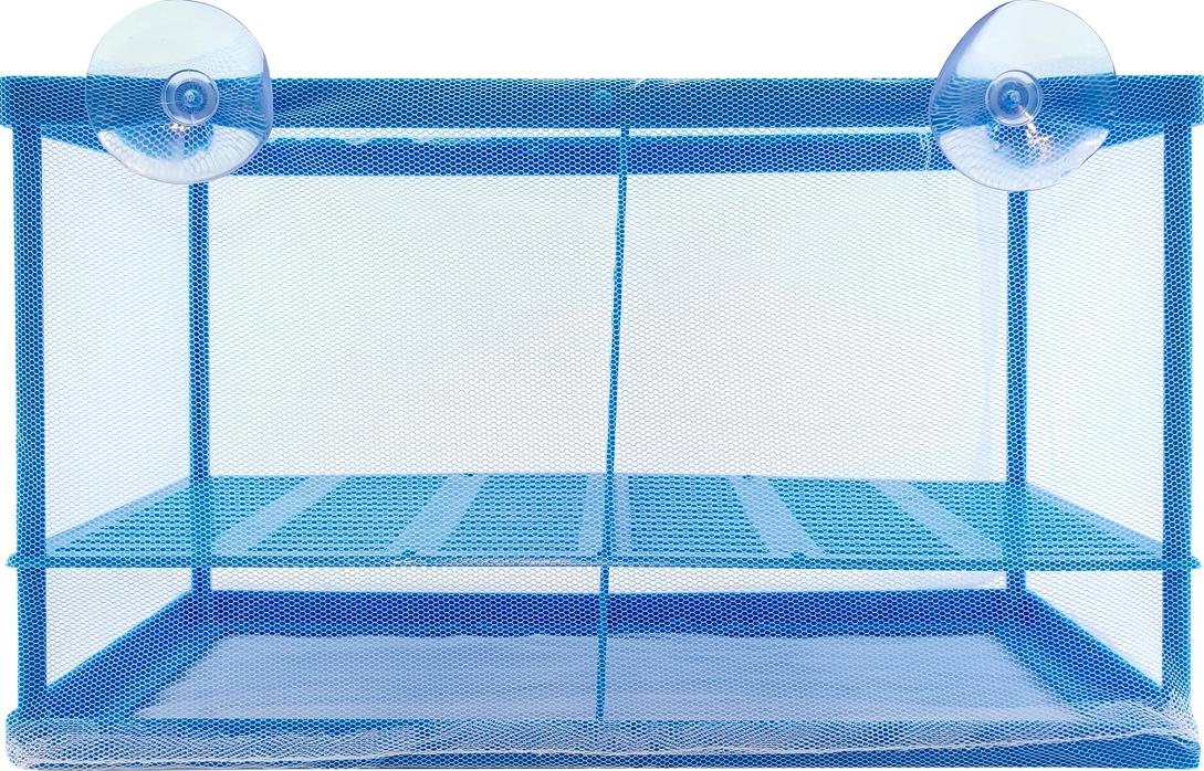 WF- CRIADEIRA - WFISH