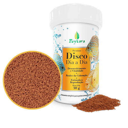 POYTARA DISCO DIA-A-DIA 30G