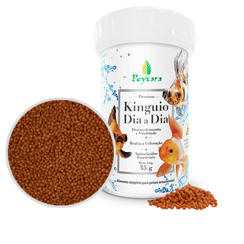 POYTARA KINGUIO DIA-A-DIA