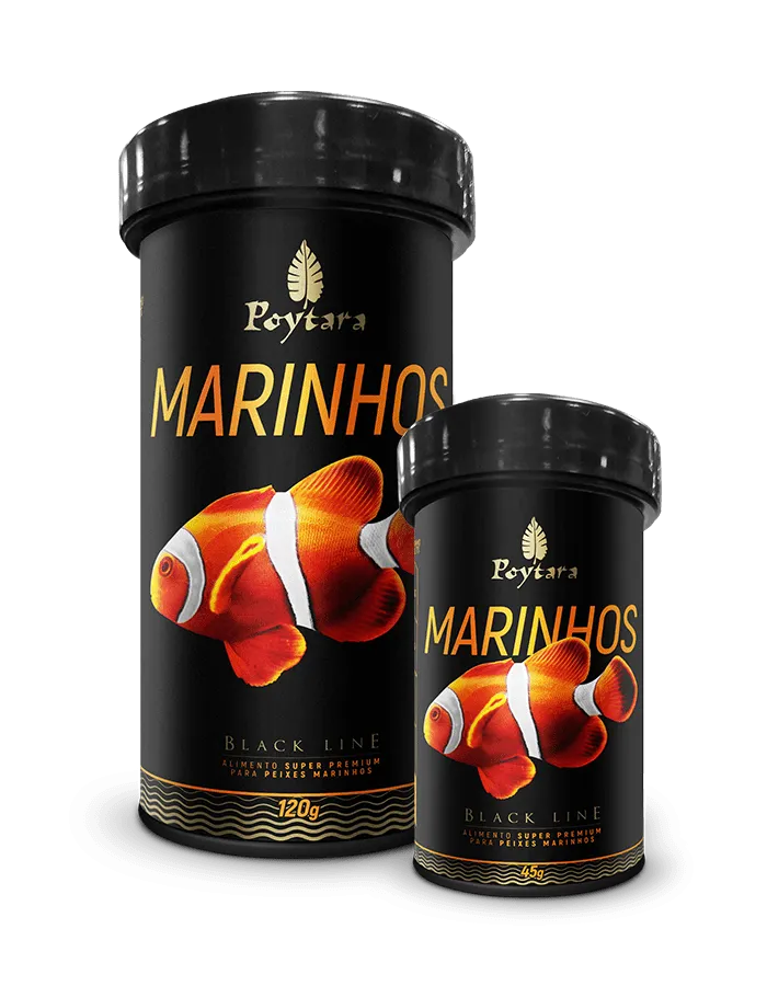 POYTARA MARINHOS P BLACK LINE