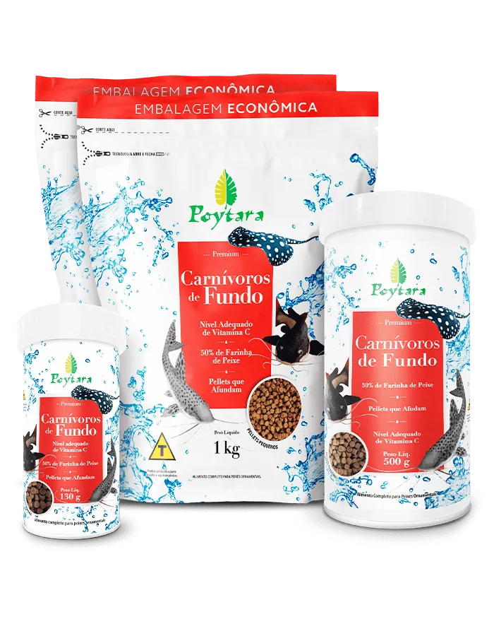 POYTARA CARNIVOROS DE FUNDO