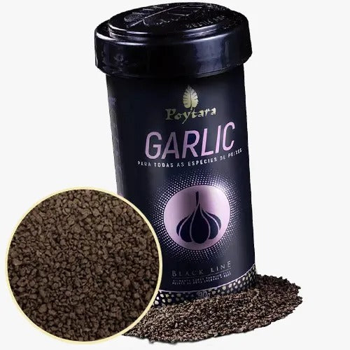 POYTARA GARLIC BLACK LINE